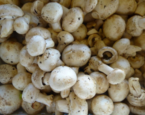 Picture for category Mushrooms