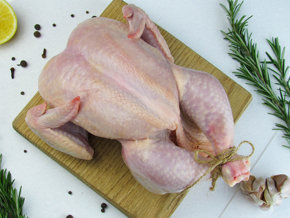 Picture for category Poultry