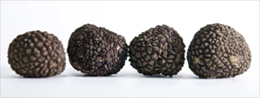 Picture for category Truffle