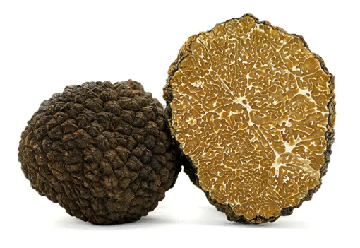 Fresh Truffle Estivo