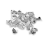 Picture of Silver Flakes