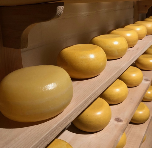 Picture of Gouda Cheese