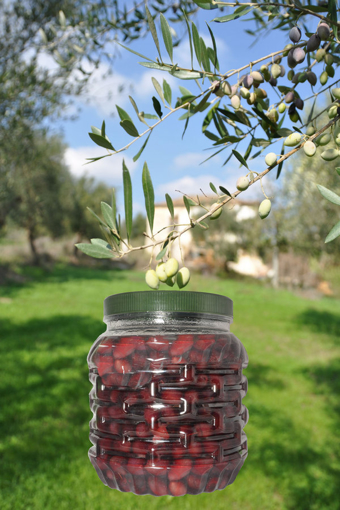 Kalamon Olives