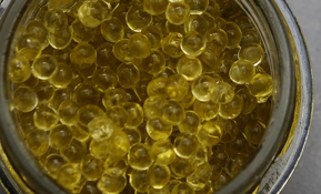 Picture for category Edible Perles