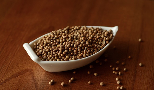 Picture of Coriander