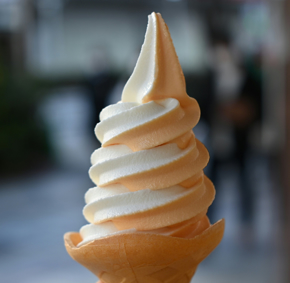 Picture for category Soft Gelato