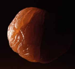 Picture for category Marrons