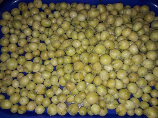 Picture of Gooseberry